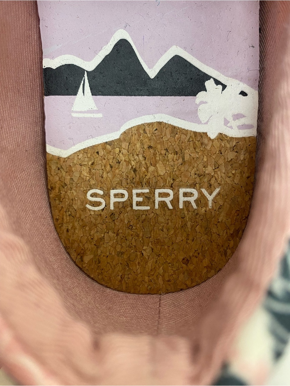 Sperry Canvas Sneakers - Picture 2 of 6